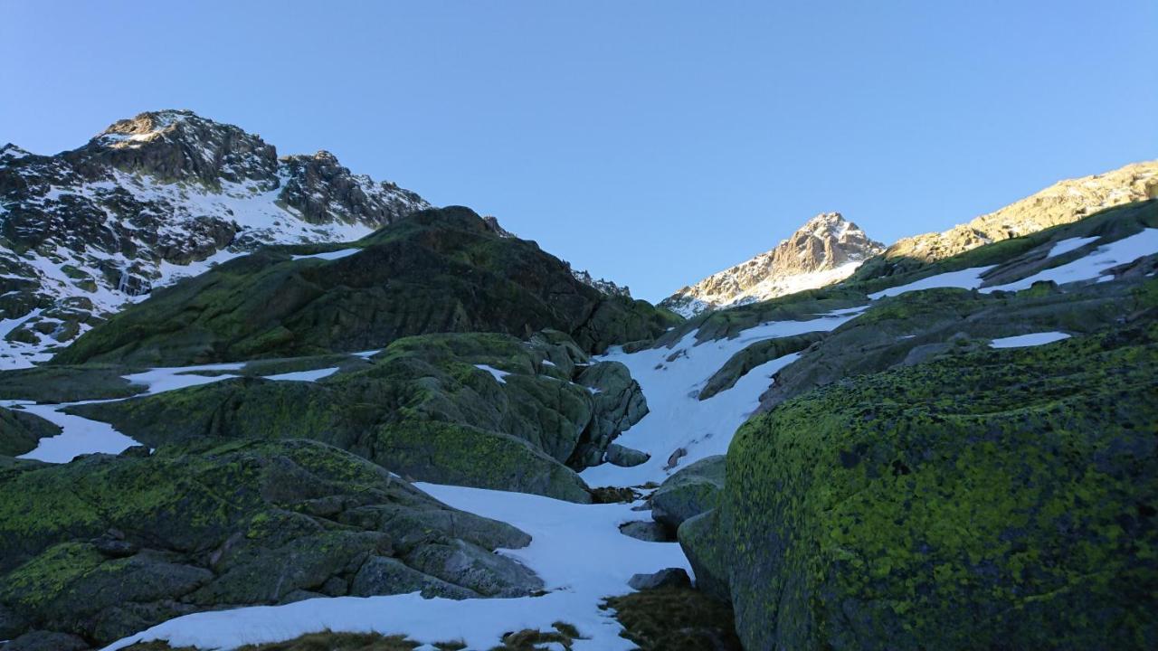 Cara Norte De Gredos Hoyos del Espino Eksteriør billede