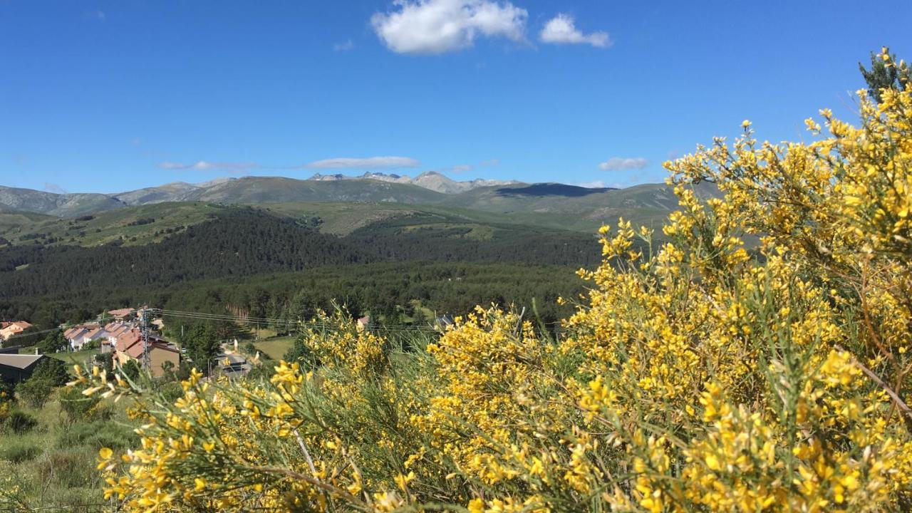 Cara Norte De Gredos Hoyos del Espino Eksteriør billede