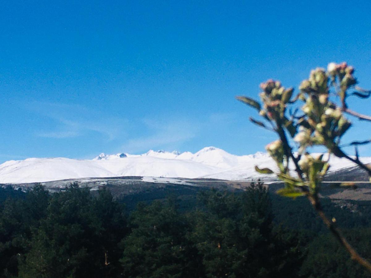 Cara Norte De Gredos Hoyos del Espino Eksteriør billede